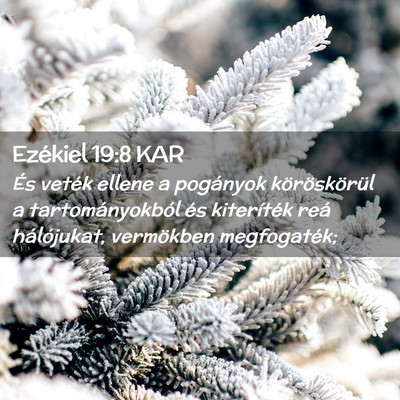 Picture 02 - Ezékiel 19:8 KAR - És veték ellene a pogányok köröskörül a - Bible Verse Picture