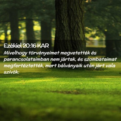 Picture 02 - Ezékiel 20:16 KAR - Mivelhogy törvényeimet megvetették és - Bible Verse Picture