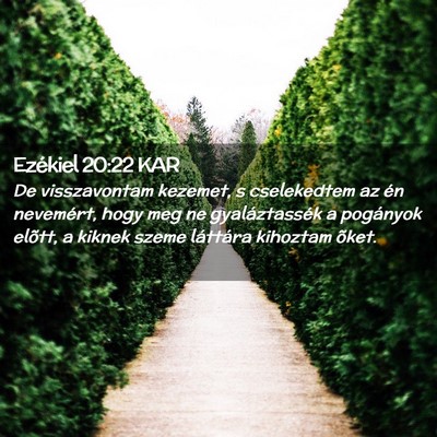 Picture 02 - Ezékiel 20:22 KAR - De visszavontam kezemet, s cselekedtem az én - Bible Verse Picture