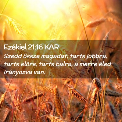 Picture 02 - Ezékiel 21:16 KAR - Szedd össze magadat; tarts jobbra, tarts elõre, - Bible Verse Picture