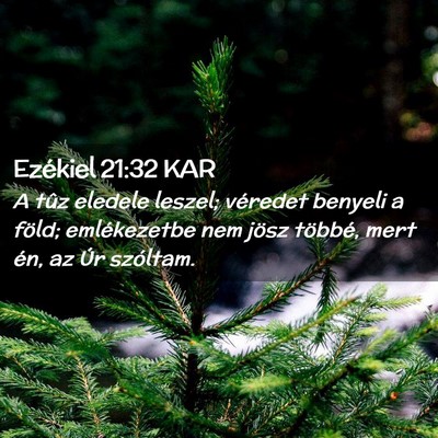 Picture 02 - Ezékiel 21:32 KAR - A tûz eledele leszel; véredet benyeli a föld; - Bible Verse Picture