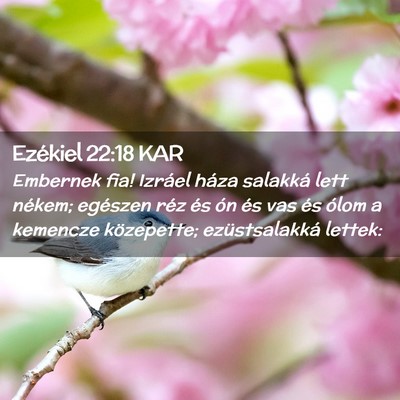 Picture 02 - Ezékiel 22:18 KAR - Embernek fia! Izráel háza salakká lett nékem; - Bible Verse Picture