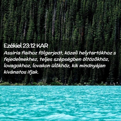 Picture 02 - Ezékiel 23:12 KAR - Assiria fiaihoz fölgerjedt, közeli - Bible Verse Picture