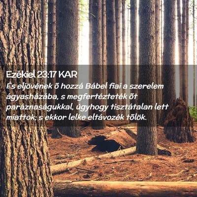 Picture 02 - Ezékiel 23:17 KAR - És eljövének õ hozzá Bábel fiai a szerelem - Bible Verse Picture