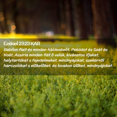 Picture 02 - Ezékiel 23:23 KAR - Babilon fiait és minden Káldeabelit, Pekódot - Bible Verse Picture