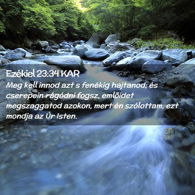 Picture 02 - Ezékiel 23:34 KAR - Meg kell innod azt s fenékig hajtanod; és - Bible Verse Picture