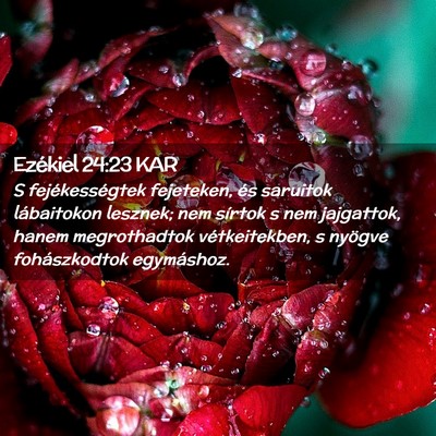Picture 02 - Ezékiel 24:23 KAR - S fejékességtek fejeteken, és saruitok - Bible Verse Picture