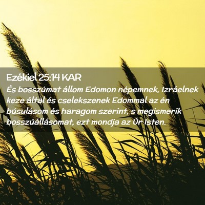 Picture 02 - Ezékiel 25:14 KAR - És bosszúmat állom Edomon népemnek, - Bible Verse Picture