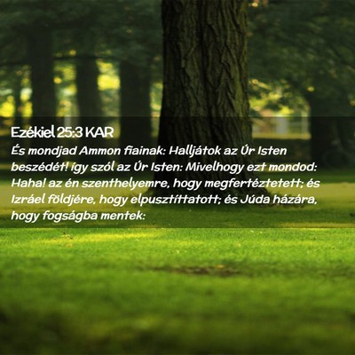Picture 02 - Ezékiel 25:3 KAR - És mondjad Ammon fiainak: Halljátok az Úr - Bible Verse Picture