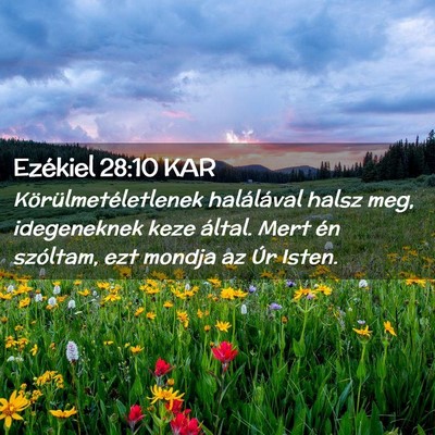 Picture 02 - Ezékiel 28:10 KAR - Körülmetéletlenek halálával halsz meg, - Bible Verse Picture