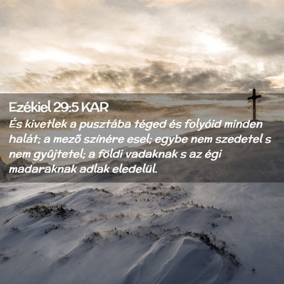Picture 02 - Ezékiel 29:5 KAR - És kivetlek a pusztába téged és folyóid - Bible Verse Picture