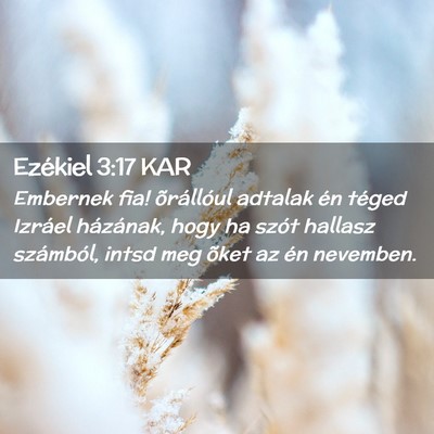 Picture 02 - Ezékiel 3:17 KAR - Embernek fia! õrállóul adtalak én téged - Bible Verse Picture