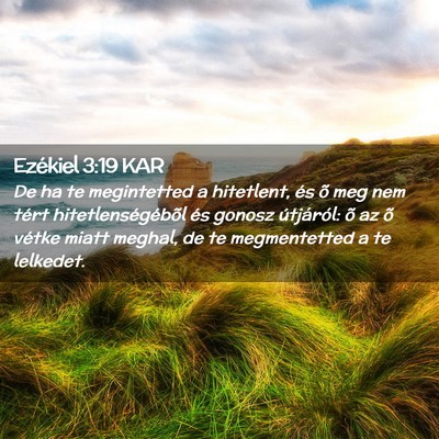 Picture 02 - Ezékiel 3:19 KAR - De ha te megintetted a hitetlent, és õ meg nem - Bible Verse Picture