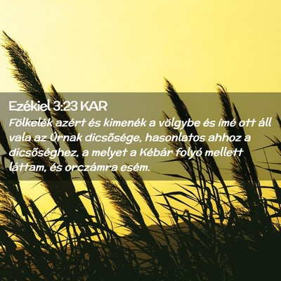 Picture 02 - Ezékiel 3:23 KAR - Fölkelék azért és kimenék a völgybe és - Bible Verse Picture