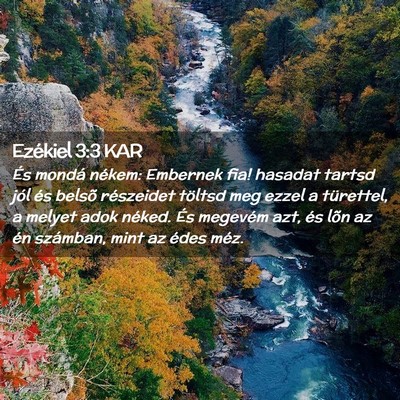 Picture 02 - Ezékiel 3:3 KAR - És mondá nékem: Embernek fia! hasadat tartsd - Bible Verse Picture