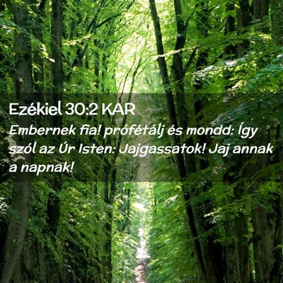 Picture 02 - Ezékiel 30:2 KAR - Embernek fia! prófétálj és mondd: Így szól - Bible Verse Picture