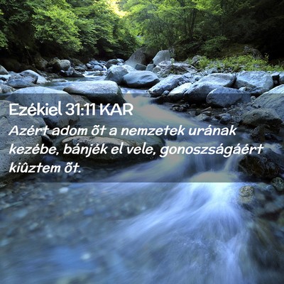 Picture 02 - Ezékiel 31:11 KAR - Azért adom õt a nemzetek urának kezébe, - Bible Verse Picture