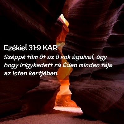 Picture 02 - Ezékiel 31:9 KAR - Széppé tõm õt az õ sok ágaival, úgy hogy - Bible Verse Picture