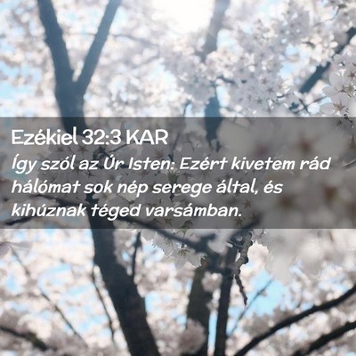 Picture 02 - Ezékiel 32:3 KAR - Így szól az Úr Isten: Ezért kivetem rád - Bible Verse Picture