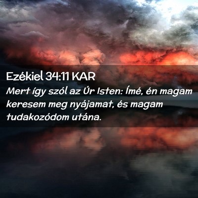 Picture 02 - Ezékiel 34:11 KAR - Mert így szól az Úr Isten: Ímé, én magam - Bible Verse Picture