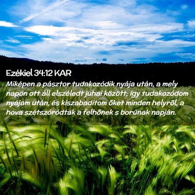 Picture 02 - Ezékiel 34:12 KAR - Miképen a pásztor tudakozódik nyája után, a - Bible Verse Picture