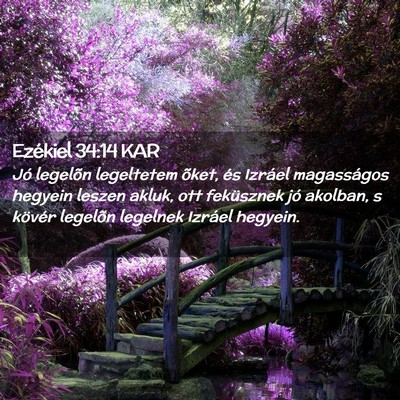 Picture 02 - Ezékiel 34:14 KAR - Jó legelõn legeltetem õket, és Izráel - Bible Verse Picture