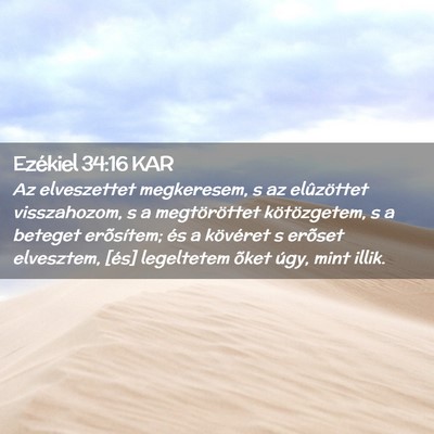 Picture 02 - Ezékiel 34:16 KAR - Az elveszettet megkeresem, s az elûzöttet - Bible Verse Picture