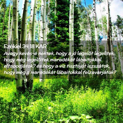Picture 02 - Ezékiel 34:18 KAR - Avagy kevés-é néktek, hogy a jó legelõt - Bible Verse Picture