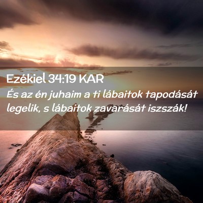 Picture 02 - Ezékiel 34:19 KAR - És az én juhaim a ti lábaitok tapodását - Bible Verse Picture