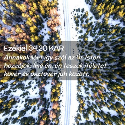 Picture 02 - Ezékiel 34:20 KAR - Annakokáért így szól az Úr Isten hozzájok: - Bible Verse Picture