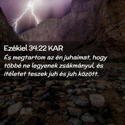 Picture 02 - Ezékiel 34:22 KAR - És megtartom az én juhaimat, hogy többé ne - Bible Verse Picture