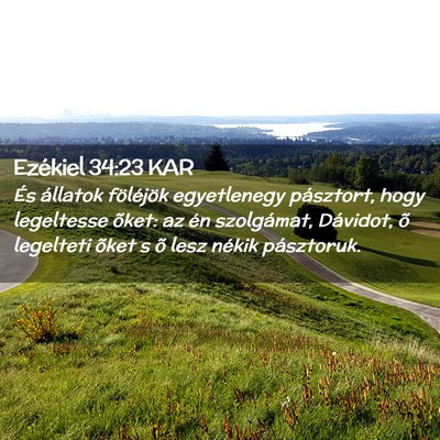 Picture 02 - Ezékiel 34:23 KAR - És állatok föléjök egyetlenegy pásztort, - Bible Verse Picture