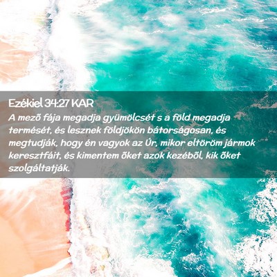 Picture 02 - Ezékiel 34:27 KAR - A mezõ fája megadja gyümölcsét s a föld - Bible Verse Picture