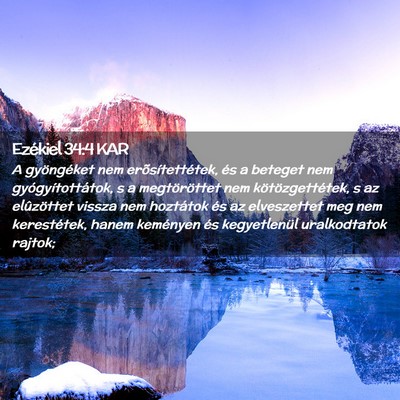 Picture 02 - Ezékiel 34:4 KAR - A gyöngéket nem erõsítettétek, és a beteget - Bible Verse Picture
