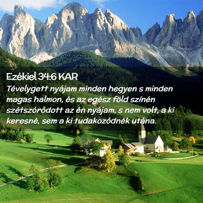 Picture 02 - Ezékiel 34:6 KAR - Tévelygett nyájam minden hegyen s minden magas - Bible Verse Picture