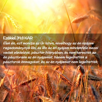Picture 02 - Ezékiel 34:8 KAR - Élek én, ezt mondja az Úr Isten, mivelhogy az - Bible Verse Picture