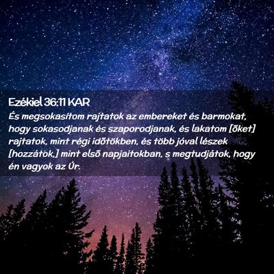Picture 02 - Ezékiel 36:11 KAR - És megsokasítom rajtatok az embereket és - Bible Verse Picture