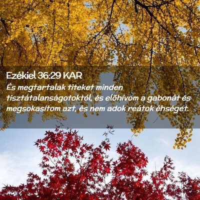Picture 02 - Ezékiel 36:29 KAR - És megtartalak titeket minden - Bible Verse Picture