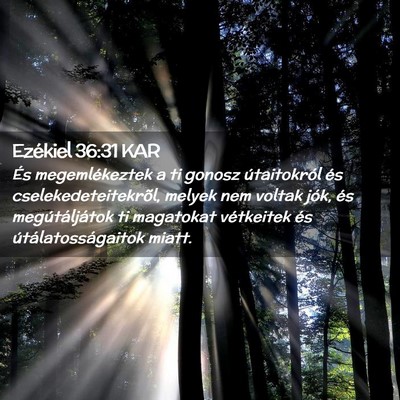 Picture 02 - Ezékiel 36:31 KAR - És megemlékeztek a ti gonosz útaitokról és - Bible Verse Picture
