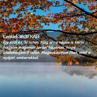Picture 02 - Ezékiel 36:37 KAR - Így szól az Úr Isten: Még arra nézve is - Bible Verse Picture