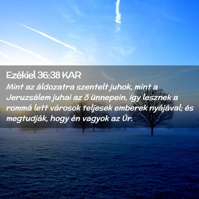 Picture 02 - Ezékiel 36:38 KAR - Mint az áldozatra szentelt juhok, mint a - Bible Verse Picture