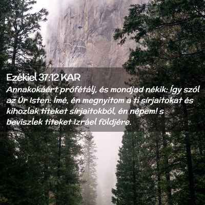 Picture 02 - Ezékiel 37:12 KAR - Annakokáért prófétálj, és mondjad nékik: - Bible Verse Picture