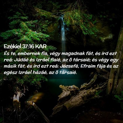Picture 02 - Ezékiel 37:16 KAR - És te, embernek fia, végy magadnak fát, és - Bible Verse Picture