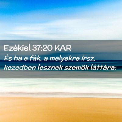 Picture 02 - Ezékiel 37:20 KAR - És ha e fák, a melyekre írsz, kezedben lesznek - Bible Verse Picture