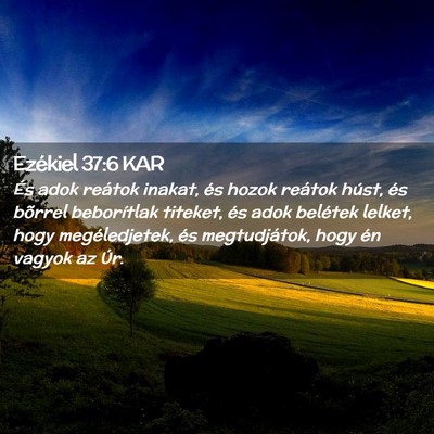 Picture 02 - Ezékiel 37:6 KAR - És adok reátok inakat, és hozok reátok húst, - Bible Verse Picture