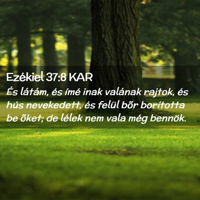 Picture 02 - Ezékiel 37:8 KAR - És látám, és ímé inak valának rajtok, és - Bible Verse Picture