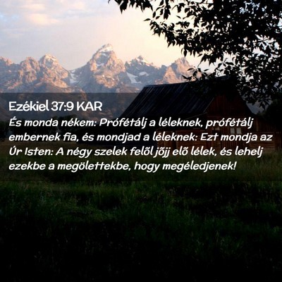 Picture 02 - Ezékiel 37:9 KAR - És monda nékem: Prófétálj a léleknek, - Bible Verse Picture