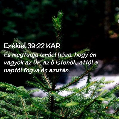 Picture 02 - Ezékiel 39:22 KAR - És megtudja Izráel háza, hogy én vagyok az - Bible Verse Picture