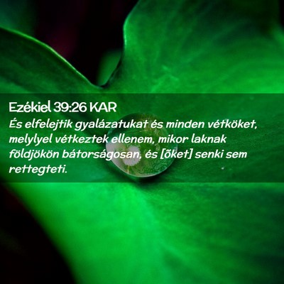 Picture 02 - Ezékiel 39:26 KAR - És elfelejtik gyalázatukat és minden - Bible Verse Picture