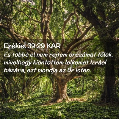 Picture 02 - Ezékiel 39:29 KAR - És többé el nem rejtem orczámat tõlök, - Bible Verse Picture